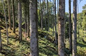 Studio cosy proche étang et commerces - Foto 22