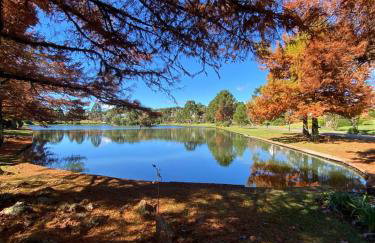 Fantástico Studio Royal Laje de Pedra MV (3022) - Foto 8