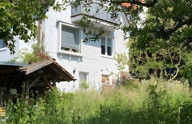 Ferienwohnung - Foto 1