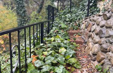 Vintage RV Creekside Nature Retreat near Ojai next to Swim Holes Hike - Foto 29