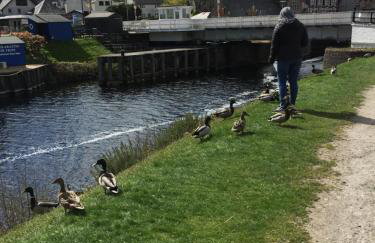 Cameron apartment Loch Ness - Foto 33