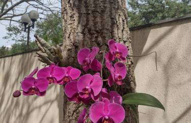 Barra Rio Centro - Foto 11