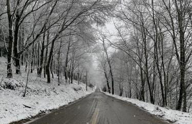 Casa da Carvalha - Ádela - Foto 35