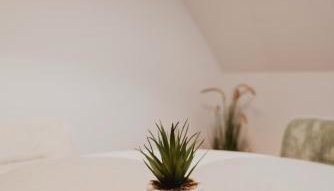 Zentral, Loggia, TG-Platz - Foto 3