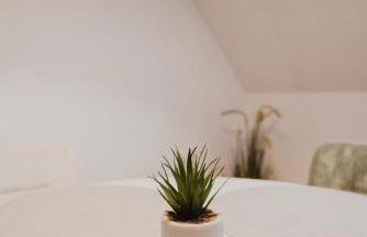 Zentral, Loggia, TG-Platz - Foto 3