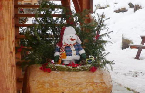 Mas De La Bolp - Chalet - Foto 54