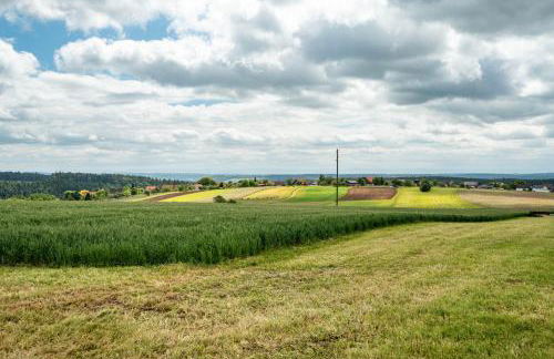 Schwarzwald Ruhe - Foto 27