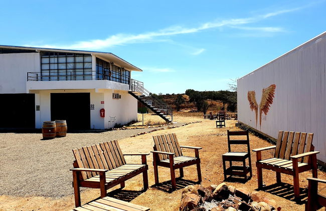 Wine country In Valle de Guadalupe - Foto 21