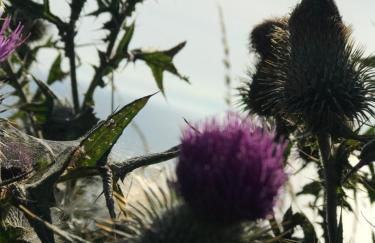 Lodge Cabin with Fabulous Views - Farm Holiday - Foto 65