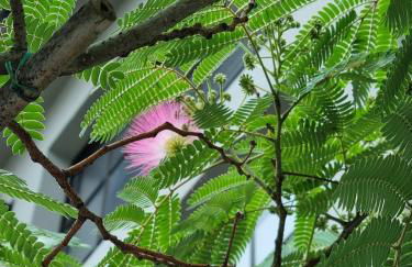 Wohnen im Industriedenkmal mit Dachterrasse - Foto 29