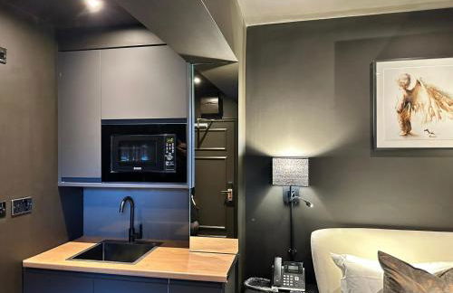 Small Studio with En Suite Bath & Kitchenette - Foto 5