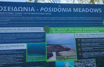 Maria's home - Foto 50