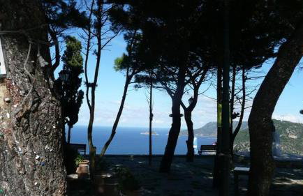 Magnolia Apartment - Foto 16