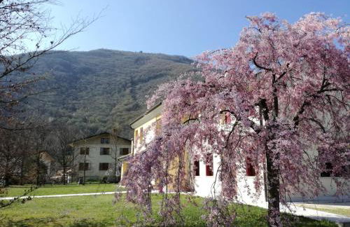 Agriturismo Memento - Foto 7