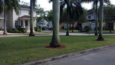 Speedway Blvd Townhouse - Foto 2, Garden