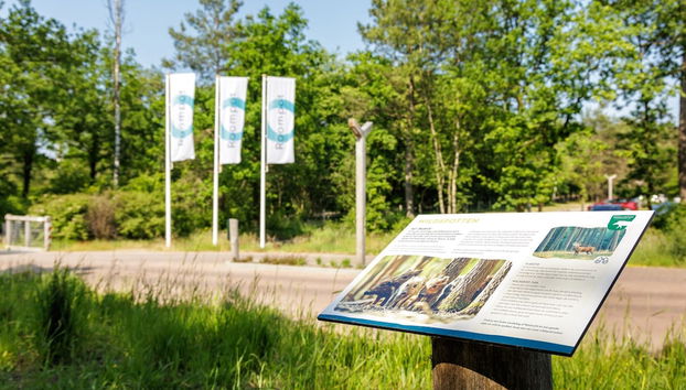 Comodidade do alojamento