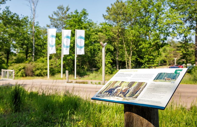 Modern Villa Near Veluwe - Foto 7