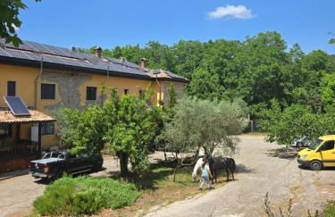 CANTUCCIO nel Verde - Photo 72