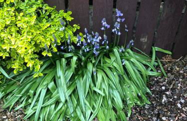 PondeROSEa Cottage Free Gated Parking M1 & City location, wood stove - Foto 21