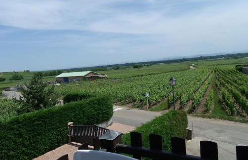 Gite "le vignoble " 2 pers coté vignes - Photo 1