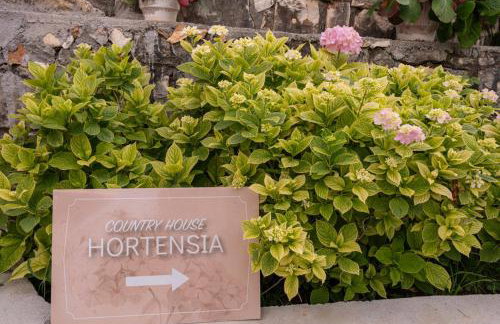 Country House Hortensia - Foto 44