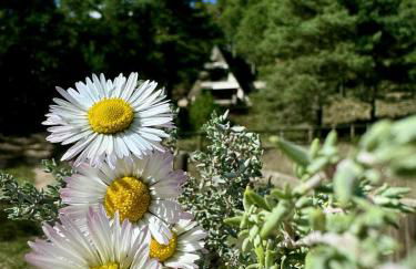 Caseta de Caro Vergés&Forés - Foto 32