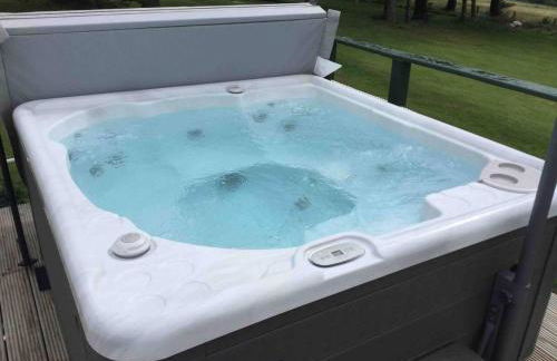 Green Yurt with Hot Tub - Sleeps 3 Parking & Pets - Photo 4