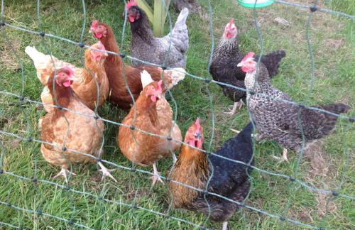 The Chairman's Retreat in The Cotswolds - Space To Relax in the Countryside - Foto 27