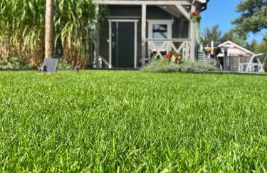 Przystanek Prawdowo - Foto 68