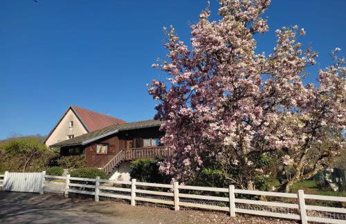 Le Chalet des Masnils - Foto 24