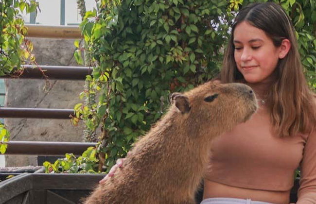 Billet pour l'aquarium Michin Puebla - Photo 6