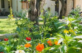 Az. Agr. Parco dei Buoi - Foto 68