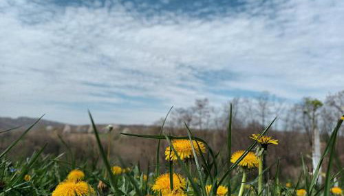 Kuća za odmor Janković - Foto 3