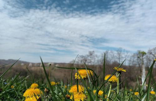 Kuća za odmor Janković - Foto 3