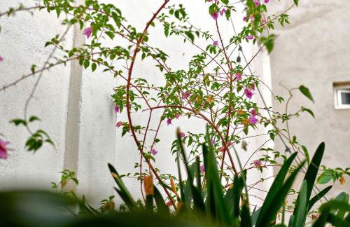 Apt Oasis LuxuryRentalsMurcia - Foto 8