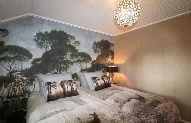 Villa in Ommen With Private Pond - Foto 4