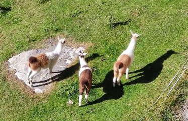 Chaleureux T2 au pied des pistes. Appt de 4 à 6 personnes. - Foto 26