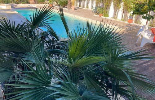 The Bamboo villa - Fraschetti Daniele - Foto 18