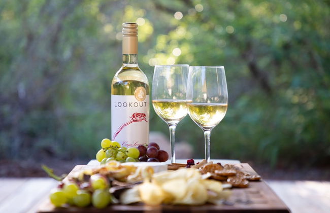 Discover the Coziness of Villa Nesskop - Hoedspruit - Photo 5