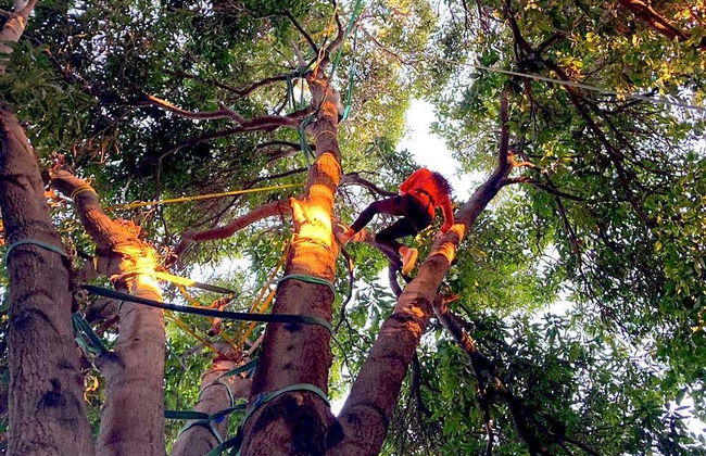 Rapel e escalada no oásis de Pica - Foto 1