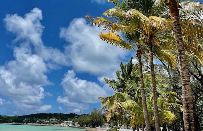 Winfield Manor 3 Bedroom Home - Foto 26