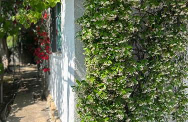 Casa rural frente al mar La Toscana - Foto 36