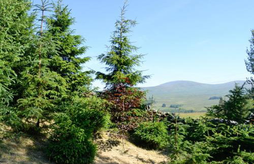 Swallow Lodge - Foto 25