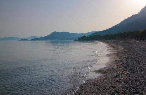 White Rock Apartments - Foto 45