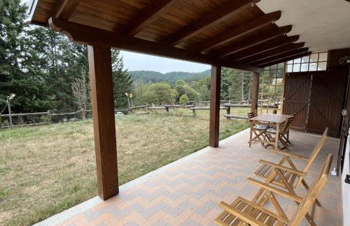 Tra il bosco e il lago - Foto 13