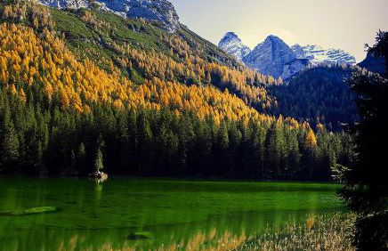 Dolomiti di Brenta House 2 - Foto 35