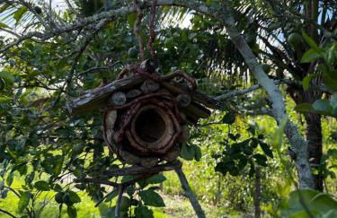 Recanto Tavares - Foto 28