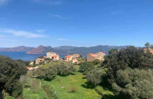 Appartement de standing piana - Foto 1