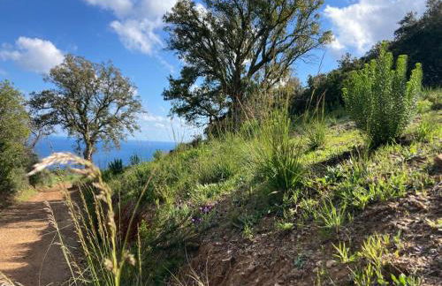 Villa Il Guardingo - Photo 77