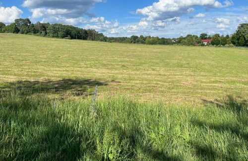 TOP-Ferienwohnung bei Berlin, bis 3 Gäste, Terrasse und Garten - Foto 26